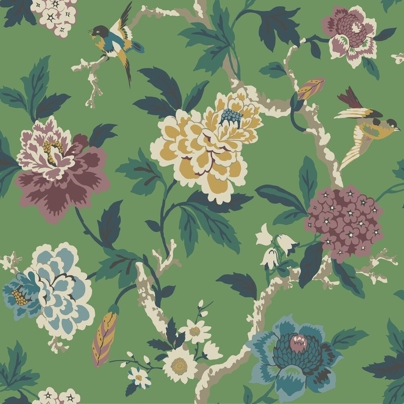 Candid Moment Wallpaper , 20.5 in. x 33 ft. = 56 sq.ft, in Green
