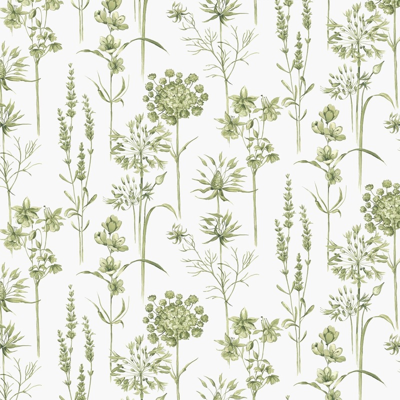 Superfresco Easy Botanical Wildflowers Wallpaper