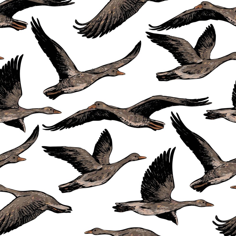 Flying Ducks Peel and Stick Wallpaper - 0