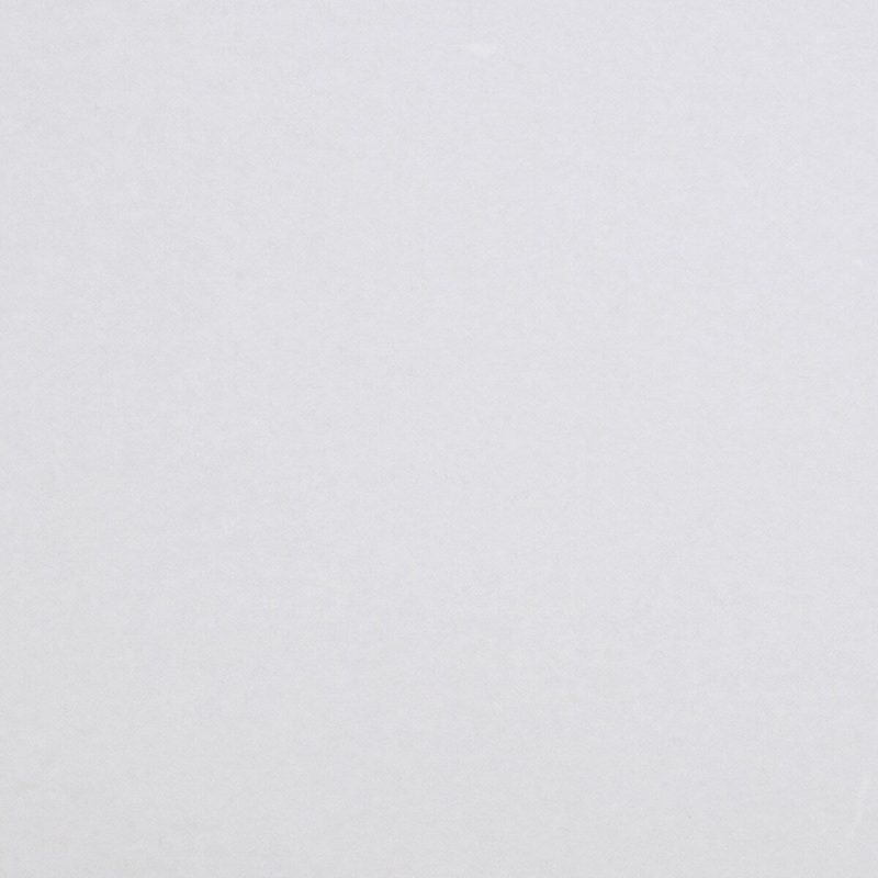 Cupertino Papyrus Paintable Armadillo 33' L X 21.7 W Wallpaper