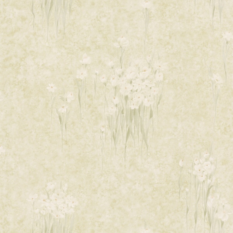 Flowers Koch Mae Beige Jasmine Flowers 33' L X 20.5" W Wallpaper Roll